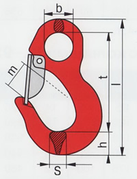 kruk cepnoy1